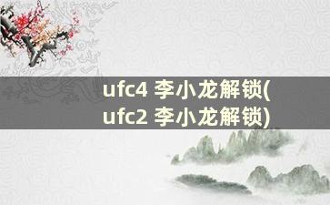 ufc4 李小龙解锁(ufc2 李小龙解锁)